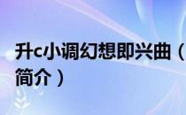 升c小调幻想即兴曲（关于升c小调幻想即兴曲简介）