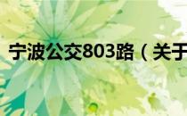 宁波公交803路（关于宁波公交803路介绍）