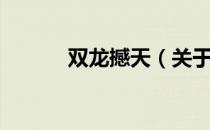 双龙撼天（关于双龙撼天介绍）