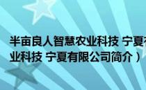 半亩良人智慧农业科技 宁夏有限公司（关于半亩良人智慧农业科技 宁夏有限公司简介）