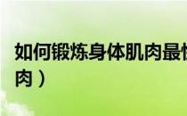 如何锻炼身体肌肉最快（如何有效锻炼身体肌肉）