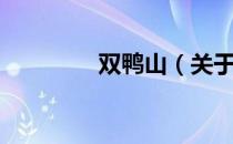 双鸭山（关于双鸭山介绍）