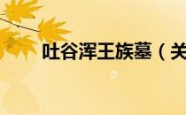 吐谷浑王族墓（关于吐谷浑王族墓）