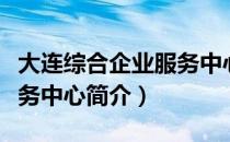 大连综合企业服务中心（关于大连综合企业服务中心简介）