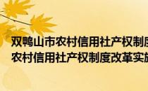 双鸭山市农村信用社产权制度改革实施方案（关于双鸭山市农村信用社产权制度改革实施方案介绍）