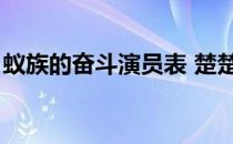 蚁族的奋斗演员表 楚楚（蚁族的奋斗演员表）