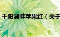 千阳湖畔苹果红（关于千阳湖畔苹果红简介）