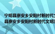 宁明县寨安乡安阳村新时代文明实践志愿服务队（关于宁明县寨安乡安阳村新时代文明实践志愿服务队介绍）