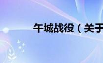 午城战役（关于午城战役简介）