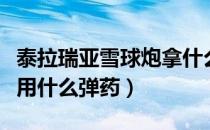 泰拉瑞亚雪球炮拿什么弹药（泰拉瑞亚雪球炮用什么弹药）