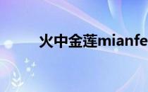 火中金莲mianfei（火中金莲txt）