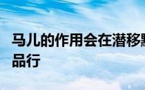 马儿的作用会在潜移默化中影响着你的性格和品行