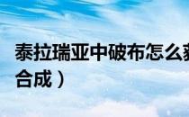 泰拉瑞亚中破布怎么获取（泰拉瑞亚破布怎么合成）