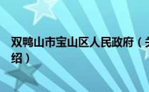 双鸭山市宝山区人民政府（关于双鸭山市宝山区人民政府介绍）