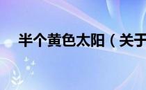 半个黄色太阳（关于半个黄色太阳简介）