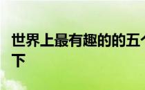 世界上最有趣的的五个马拉松一起来娱乐放松下