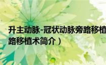 升主动脉-冠状动脉旁路移植术（关于升主动脉-冠状动脉旁路移植术简介）