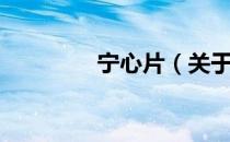 宁心片（关于宁心片介绍）