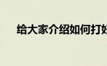 给大家介绍如何打好上手反手击高远球