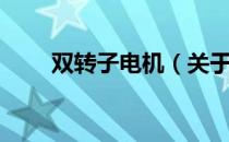 双转子电机（关于双转子电机介绍）