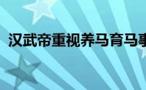 汉武帝重视养马育马事业成功奠定大汉天威
