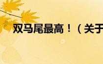 双马尾最高！（关于双马尾最高！介绍）