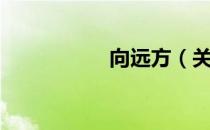 向远方（关于向远方）
