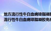 地方流行性牛白血病琼脂凝胶免疫扩散试验方法（关于地方流行性牛白血病琼脂凝胶免疫扩散试验方法简介）