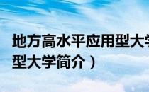 地方高水平应用型大学（关于地方高水平应用型大学简介）