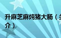 升麻芝麻炖猪大肠（关于升麻芝麻炖猪大肠简介）