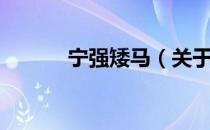 宁强矮马（关于宁强矮马介绍）