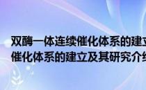 双酶一体连续催化体系的建立及其研究（关于双酶一体连续催化体系的建立及其研究介绍）