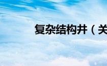 复杂结构井（关于复杂结构井）