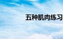 五种肌肉练习及其训练方法