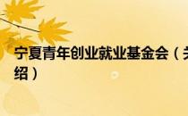宁夏青年创业就业基金会（关于宁夏青年创业就业基金会介绍）