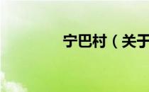 宁巴村（关于宁巴村介绍）