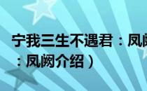 宁我三生不遇君：凤阙（关于宁我三生不遇君：凤阙介绍）