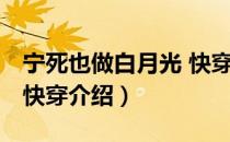 宁死也做白月光 快穿（关于宁死也做白月光 快穿介绍）