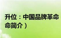 升位：中国品牌革命（关于升位：中国品牌革命简介）