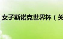 女子斯诺克世界杯（关于女子斯诺克世界杯）