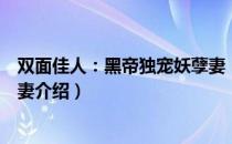 双面佳人：黑帝独宠妖孽妻（关于双面佳人：黑帝独宠妖孽妻介绍）