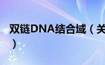 双链DNA结合域（关于双链DNA结合域介绍）