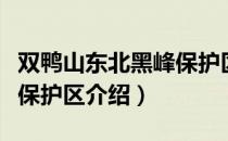 双鸭山东北黑峰保护区（关于双鸭山东北黑峰保护区介绍）