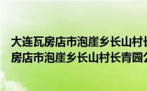 大连瓦房店市泡崖乡长山村长青园公益性公墓（关于大连瓦房店市泡崖乡长山村长青园公益性公墓简介）