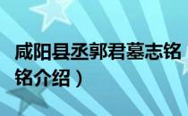 咸阳县丞郭君墓志铭（关于咸阳县丞郭君墓志铭介绍）