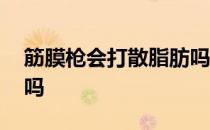 筋膜枪会打散脂肪吗 筋膜枪对肌肉僵硬有用吗 