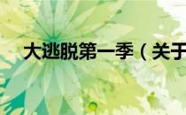 大逃脱第一季（关于大逃脱第一季简介）