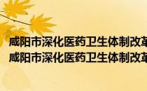 咸阳市深化医药卫生体制改革2011年度主要工作安排（关于咸阳市深化医药卫生体制改革2011年度主要工作安排介绍）