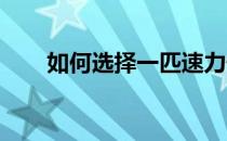 如何选择一匹速力快的马有诸多因素