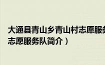 大通县青山乡青山村志愿服务队（关于大通县青山乡青山村志愿服务队简介）